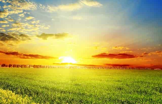 打新冠疫苗了一定不会患病吗