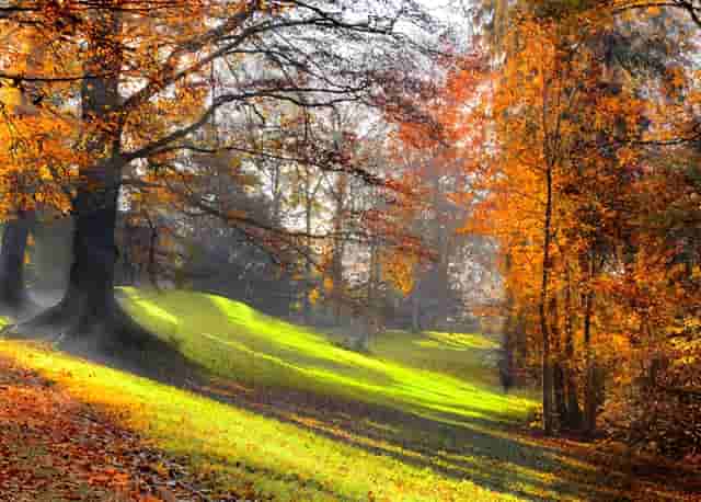 成为老板还是工作