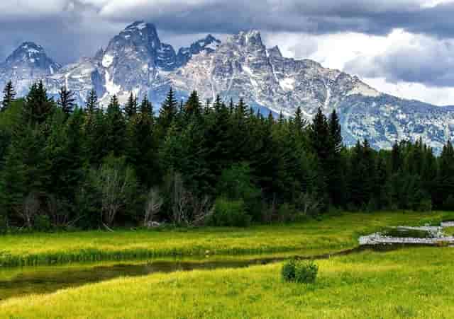 保险行业的新趋势