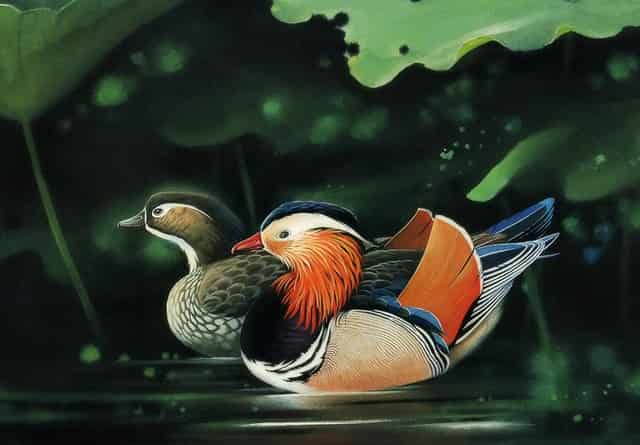 2021年大学前十排行